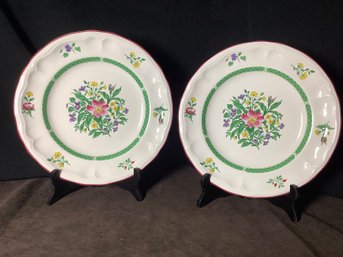 Rosalynn Varney  12 Plates By International China