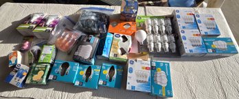 Lightbulbs - Various Sizes & Styles - Housewares