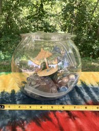 One Gallon Fish Tank With Accessories