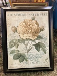 Deborah Devellier 'Botanique II' Print