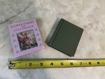 Vintage Miniature Book Lot  Flower Fairies: The Little Pink Book & Song Of The Earth Hardcover Books