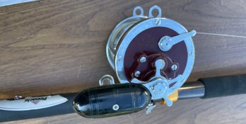 PENN SENATOR  114-H Ball Bearing Deep Sea Reel & PINNACLE LABRADOR IMT 6' Rod - See Pics