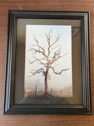 Jean King Adams Gentle Spirit Of Nature Photograph