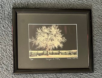 Canyon Se Chelly, Limited Exition, Signed By Artist