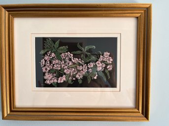 Mountain Laurel Scratchboard By Lois Ryder