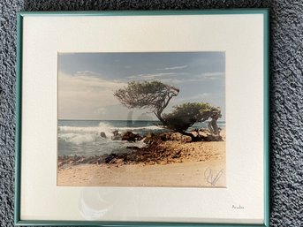 Aruba, Signed Photograph