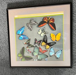Butterflies, Needs A Touch Of TLC, Matting Slipping