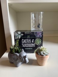 Cactus And Succulent Kit, Faux Cactus And Glass Holder