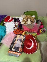 Large Lot Of Halloween Costumes