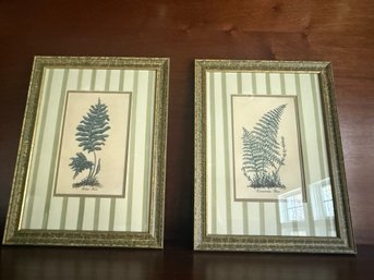 Mary Hughes: Cinnamon Fern And Sweet Fern