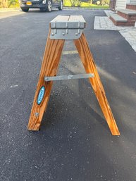Werner 2ft Ladder #1