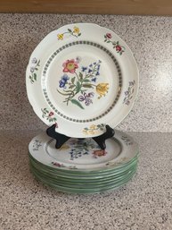 Spode Summer Palace Dinner Plates