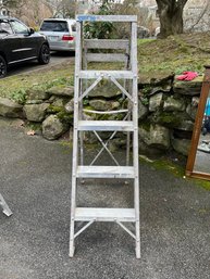 5ft Ladder