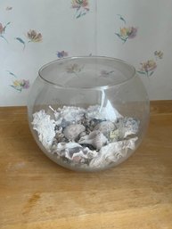 Bowl With Shells