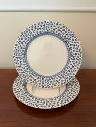 Pair Of English Ironstone Tableware Provence Blue Ceramic Plates
