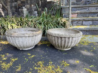 Outdoor Cement Planters