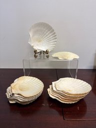 Shell Plates Made In Japan