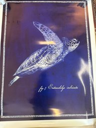 A Scientific Print Of A Hawksbill Sea Turtle (Eretmochelys Imbricata)