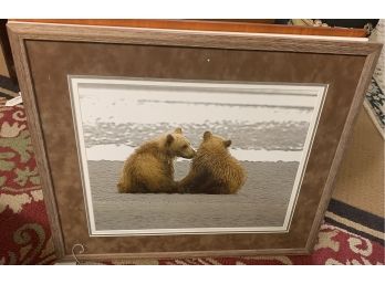 Wildlife Photography