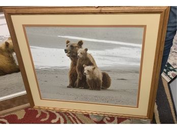 Signed Wildlife Photography