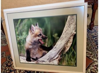 Signed Wildlife Photography