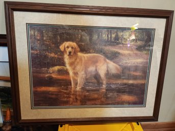 #50s  Robert Abbet Golden Retriever Print Signed