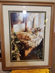 #54 Cat Sleeping In The Sunshine Print Framed And Matted