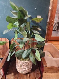 #159 VERY NICE FAUX PLANT