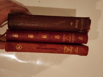 #122 LOT OF 3 ANTIQUE BOOKS INCLUDING SCOTTS POEMS