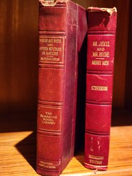 #123 ANTIQUE VOLUME LOT ' DR. JECKEL AND MR HYDE AND BIRDS AND BEES 2 BOOK SET