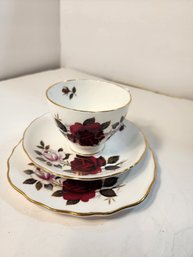 #198 Colclough Teacup 3 Piece Set. Lovely!