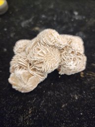 #68 Desert Rose Cluster Fossil