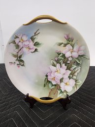 #269 Antique/vintage Bavarian Plate Hand Painted