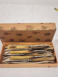 #59 Russell Stainless Blade And Bone Handle Vintage Butter Knife Set New In Box