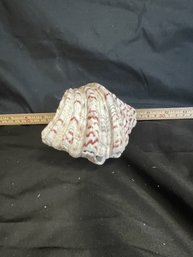 #20-24 LARGE CLAM SHELL ART