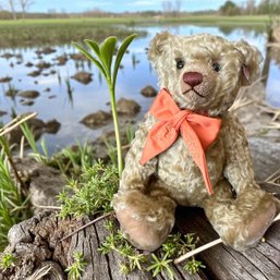 Steiff Club Edition. 2009 EAN 420979