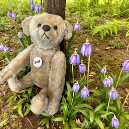 Steiff Club Edition 2011 EAN 421174