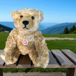 Steiff Teddy Bear Matthias EAN 036460