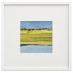 Dee Benish 'Yellow Marsh'