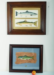 Two Framed Fish Illustration And Painting