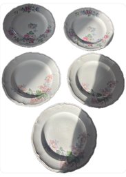 Knowles Plates Bread Cake Dessert Morning Glory Pattern 35-7 USA Set 5