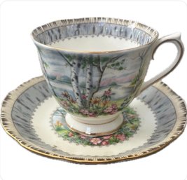 Royal Albert Bone China Silver Birch Teacup And Saucer 