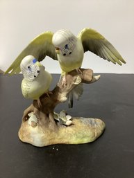 1940's Royal Crown Derby Parakeets Budgerigar Birds On A Branch W Flowers