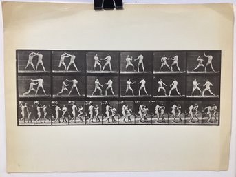 EADWEARD MUYBRIDGE - Men Boxing Print