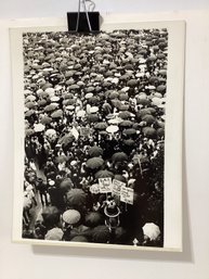 Vietnam Moratorium Photo Signed On Verso Suellen Bilow