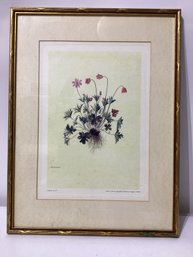 Vintage Botanical Print Of Anemones By Italian Artist Jacopo Ligozzi