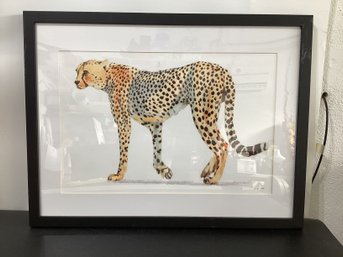 Wild And Free VII Bold Art Print By James Wien