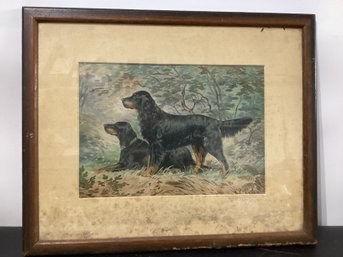Print Two Gordon Setters In A Field' Artist Alexander Pope Jr.