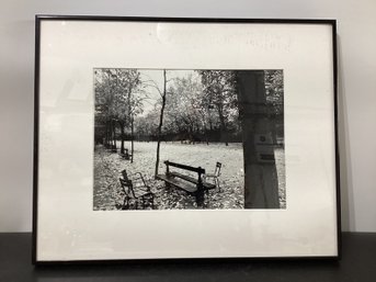 Black & White Photo Of A Park In Fall