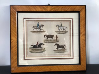 Hand-colored Etching Titled 'The Paces Of The Horse' See Translation From Verso Below
